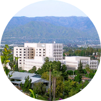 Loma Linda University